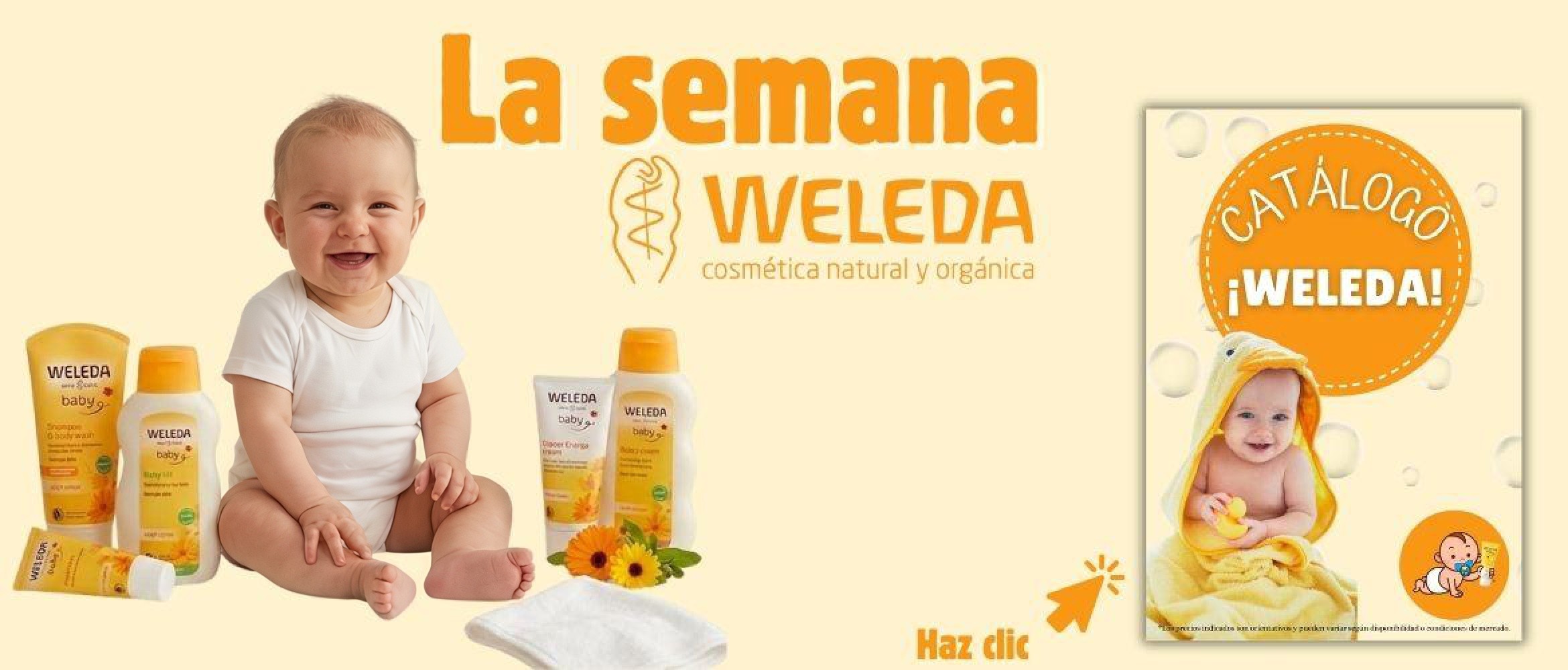 catalogo